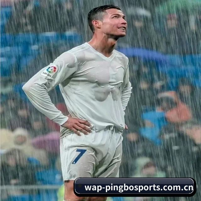 五个功能入口,赛程查询路径更短